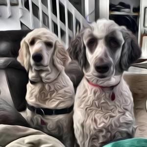 Meet your Posher, Marjorie